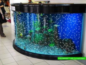fish led glass